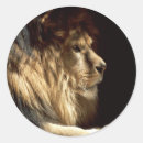 Search for king of jungle stickers Nature