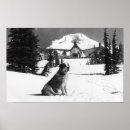 Search for timberline posters States