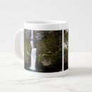 Search for multnomah falls mugs Bridge