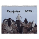 Search for penguin office supplies Cute