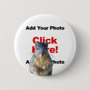 Search for squirrel photos badges Animals