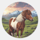 Search for icelandic horses stickers Europe