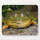 Search for burrowing mousepads Frog