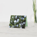 Search for shrub cards Trees