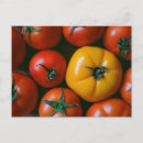 Search for stems postcards Garden