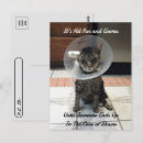 Search for shame postcards Cat