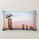 Search for pelican cushions Pier