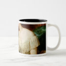 Search for botanists mugs Botany