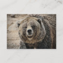 Search for bear business cards Cute
