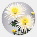 Search for chrysanthemum stickers Modern