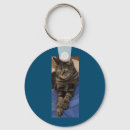 Search for basic button key rings Keys