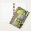 Search for budgie bird office supplies Birds