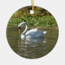 Search for swan lake christmas tree decorations Nature