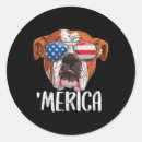 Search for french mastiff stickers English bulldog