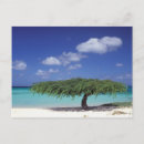 Search for aruba vacation postcards Coast