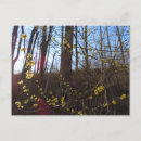 Search for native plants postcards Floral