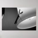 Search for four animals posters Black