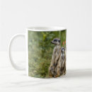 Search for meerkats mugs Mammal