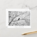 Search for birch tree postcards Autumn