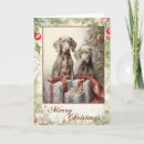 Search for weimaraner christmas cards Animal