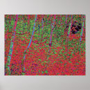 Search for autumn foliage posters Nature