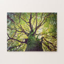 Search for roots puzzles Forest