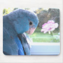 Search for communicator mousepads Blue