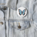 Search for blue morpho badges Nature