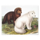 Search for lagopus posters Mammal