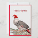 Search for african animal christmas cards Parrot