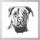 Search for staffy art Animal