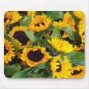 Search for sunflower mousepads Garden