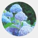 Search for green hydrangeas stickers Summer