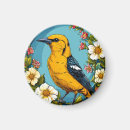 Search for oriole magnets Nature