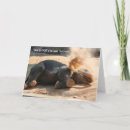 Search for temperate cards Funny