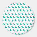 Search for birdy magnets Nature