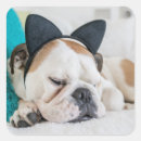 Search for sleepy cat stickers Animals