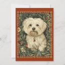 Search for bichons invitations Maltese