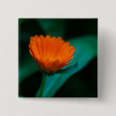 Search for orange daisy badges Green