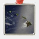 Search for maui christmas tree decorations Molokai