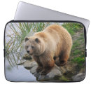 Search for cuddlies cases Bear