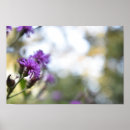 Search for purple flower posters Nature