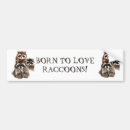Search for funny raccoon quote Animal