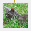 Search for tortie cat christmas tree decorations Tortoiseshell
