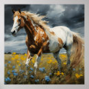 Search for pinto art Equine