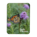 Search for monarch butterfly magnets Butterflies