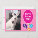 Search for dog easter cards Funny