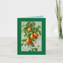 Search for pear cards Tree