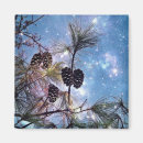 Search for night scene magnets Winter