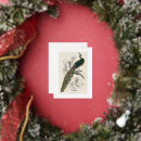 Search for natural history postcards Engraving
